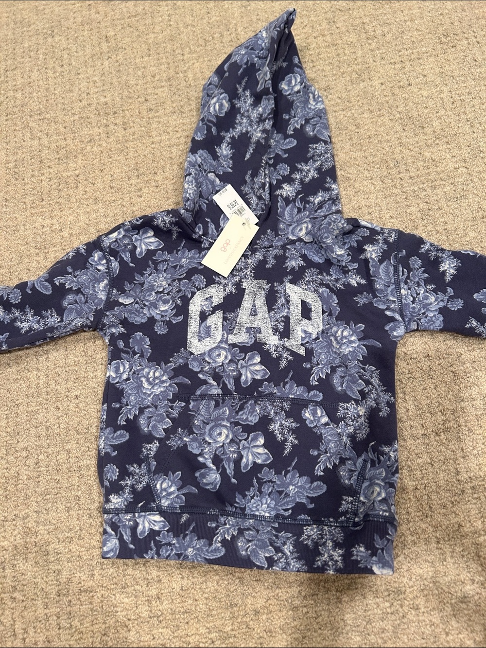 GAP love shack fancy 5T Blue Floral Hoodie